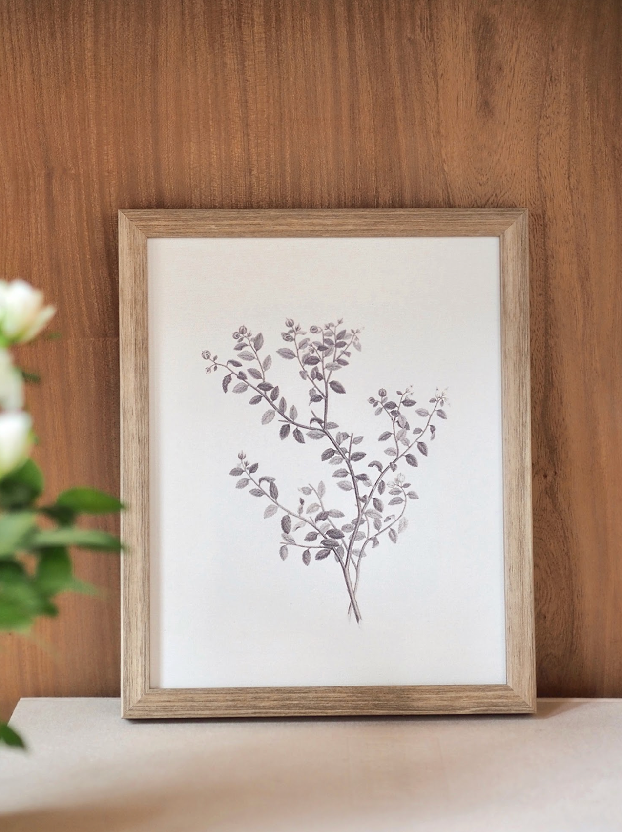 Botanical Sketch Framed Canvas Print | 11x14