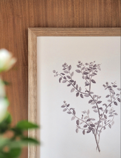 Botanical Sketch Framed Canvas Print | 11x14