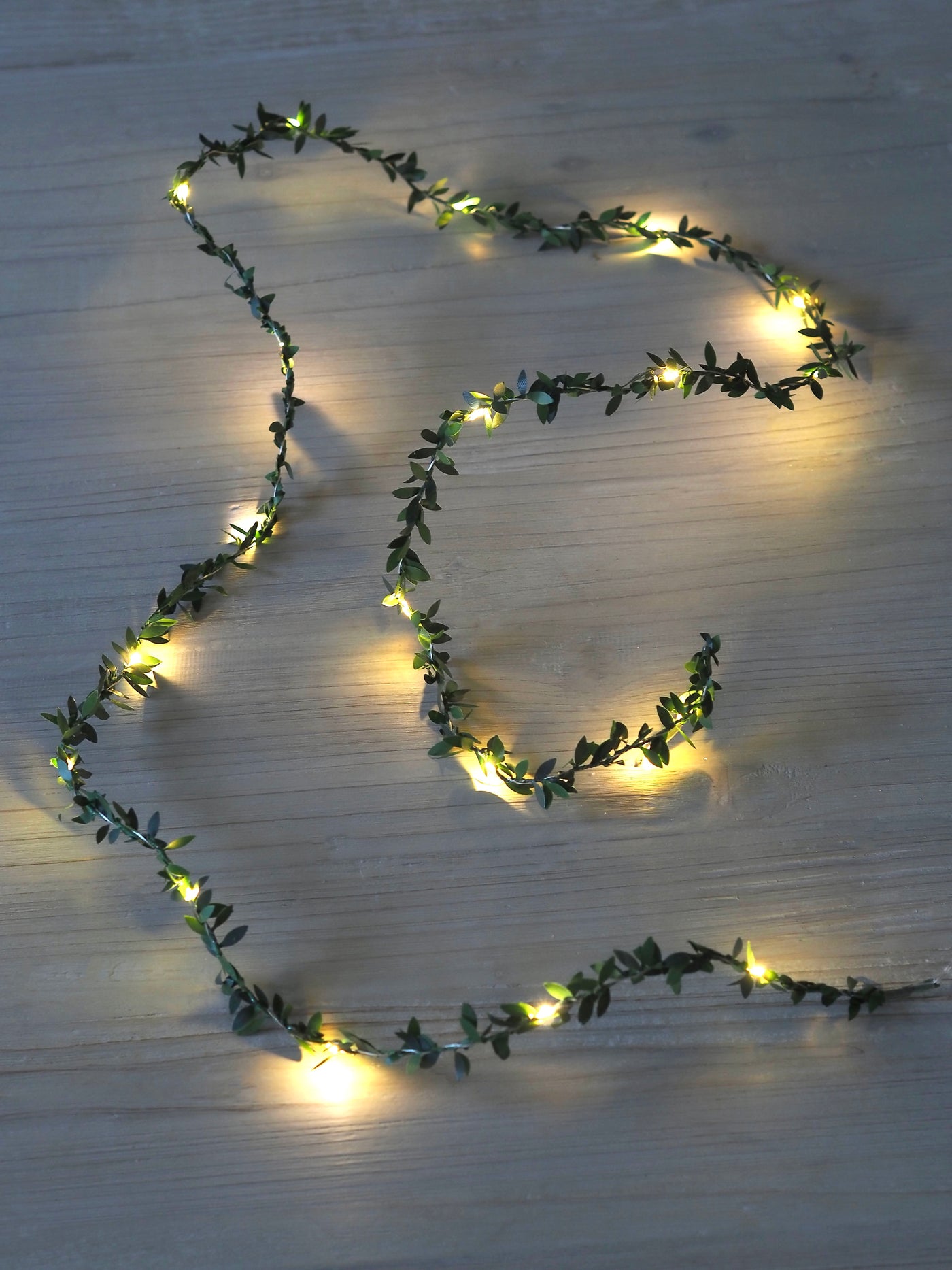 Mistletoe LED Light String