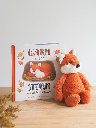 Warm in the Storm Book