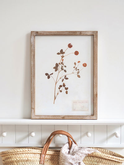 Pressed Foliage Framed Prints | 11.75" x 15.75"