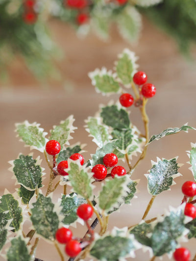 Glittered Variegated Holly Stem