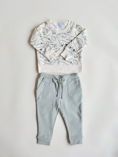 Artsy Dinos Sweatshirt and Jogger Set