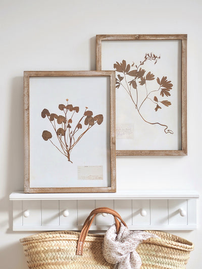 Pressed Foliage Framed Prints | 11.75" x 15.75"