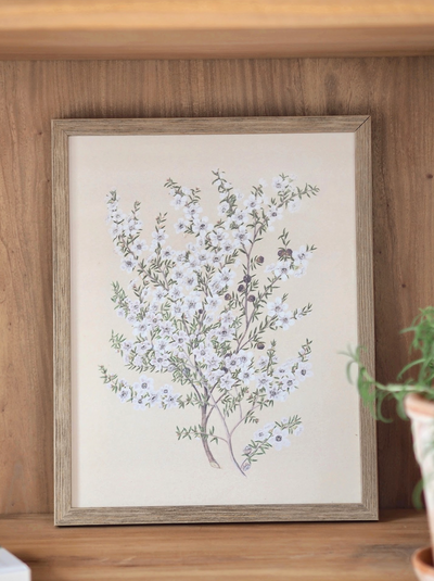 Botanical Manuka Framed Canvas Print | 11x14