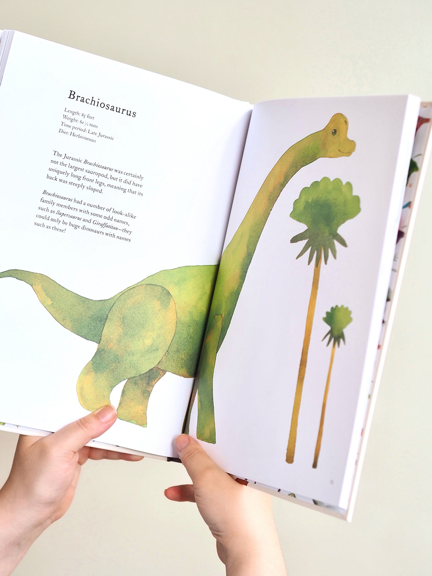 The Colorful World of Dinosaurs Book