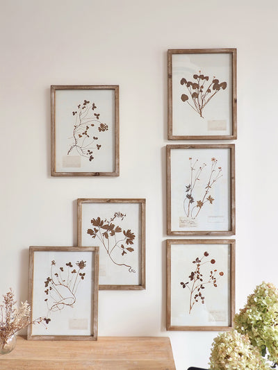 Pressed Foliage Framed Prints | 11.75" x 15.75"