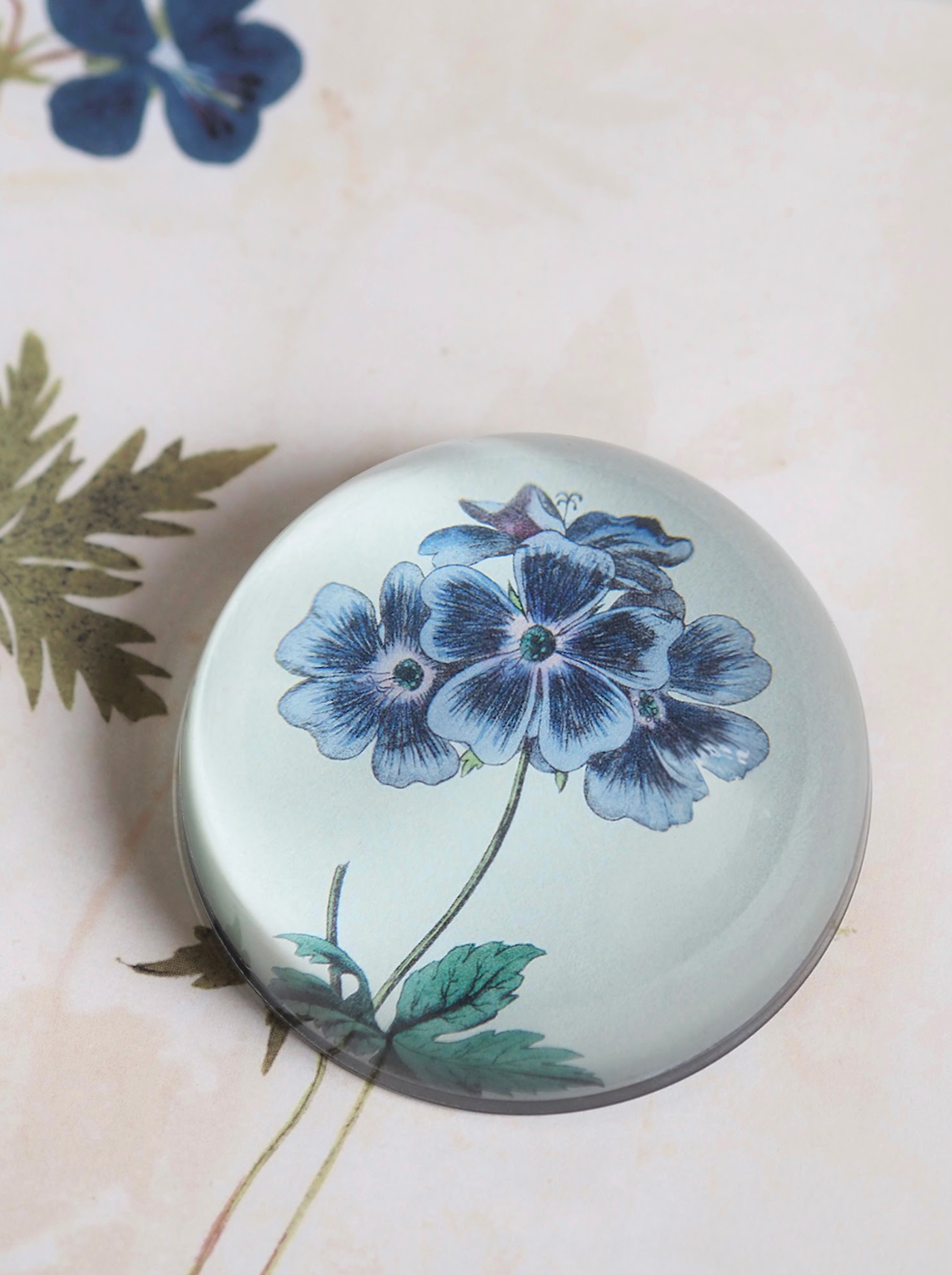 Blue Geranium Dome Paperweight