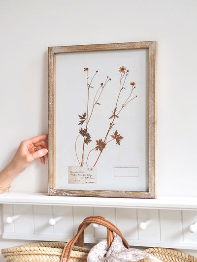 Pressed Foliage Framed Prints | 11.75" x 15.75"