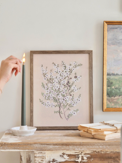 Botanical Manuka Framed Canvas Print | 11x14