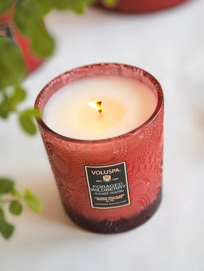 Foraged Wildberry Classic Boxed Candle