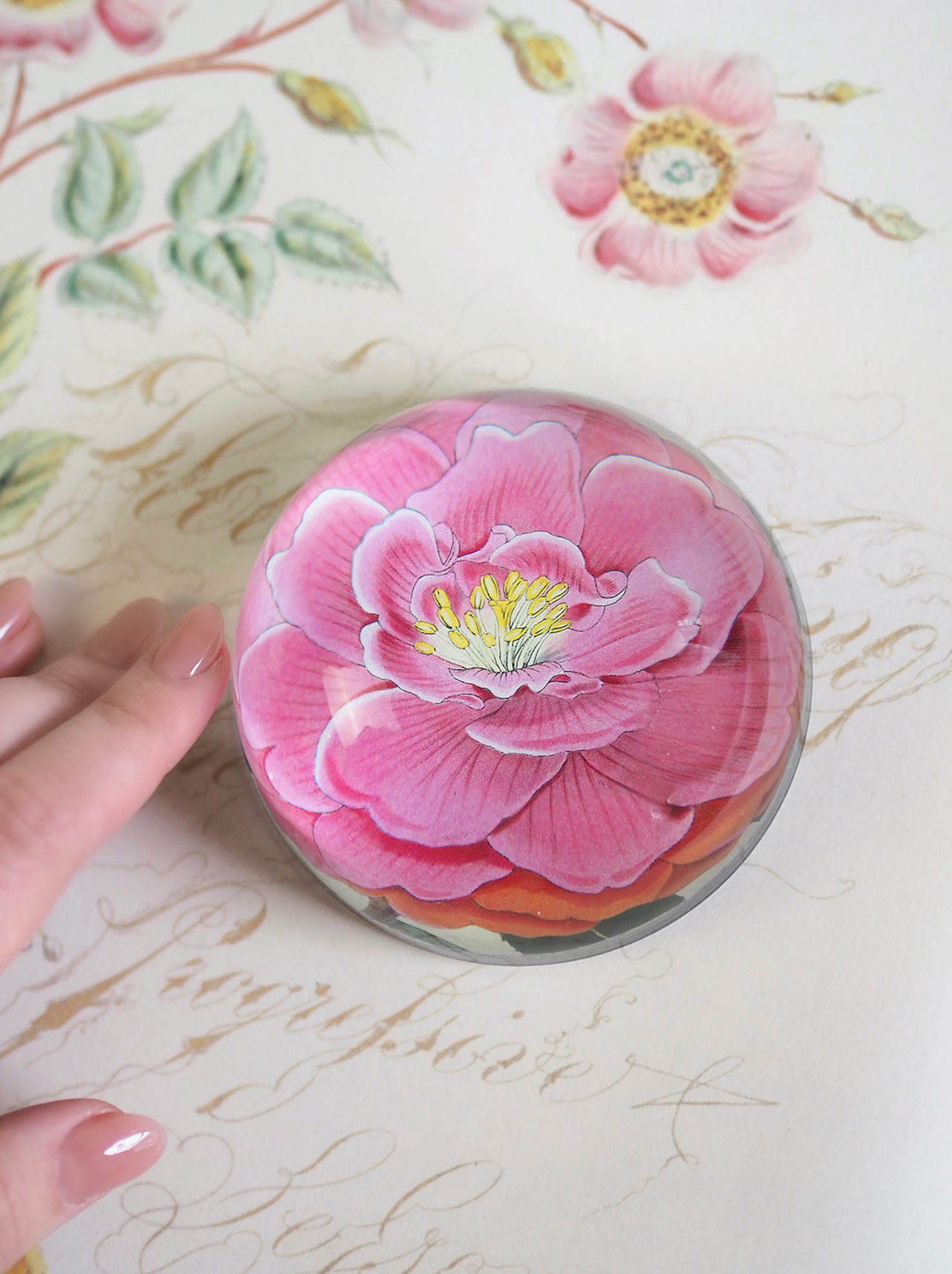 Camellia Dome Paperweight