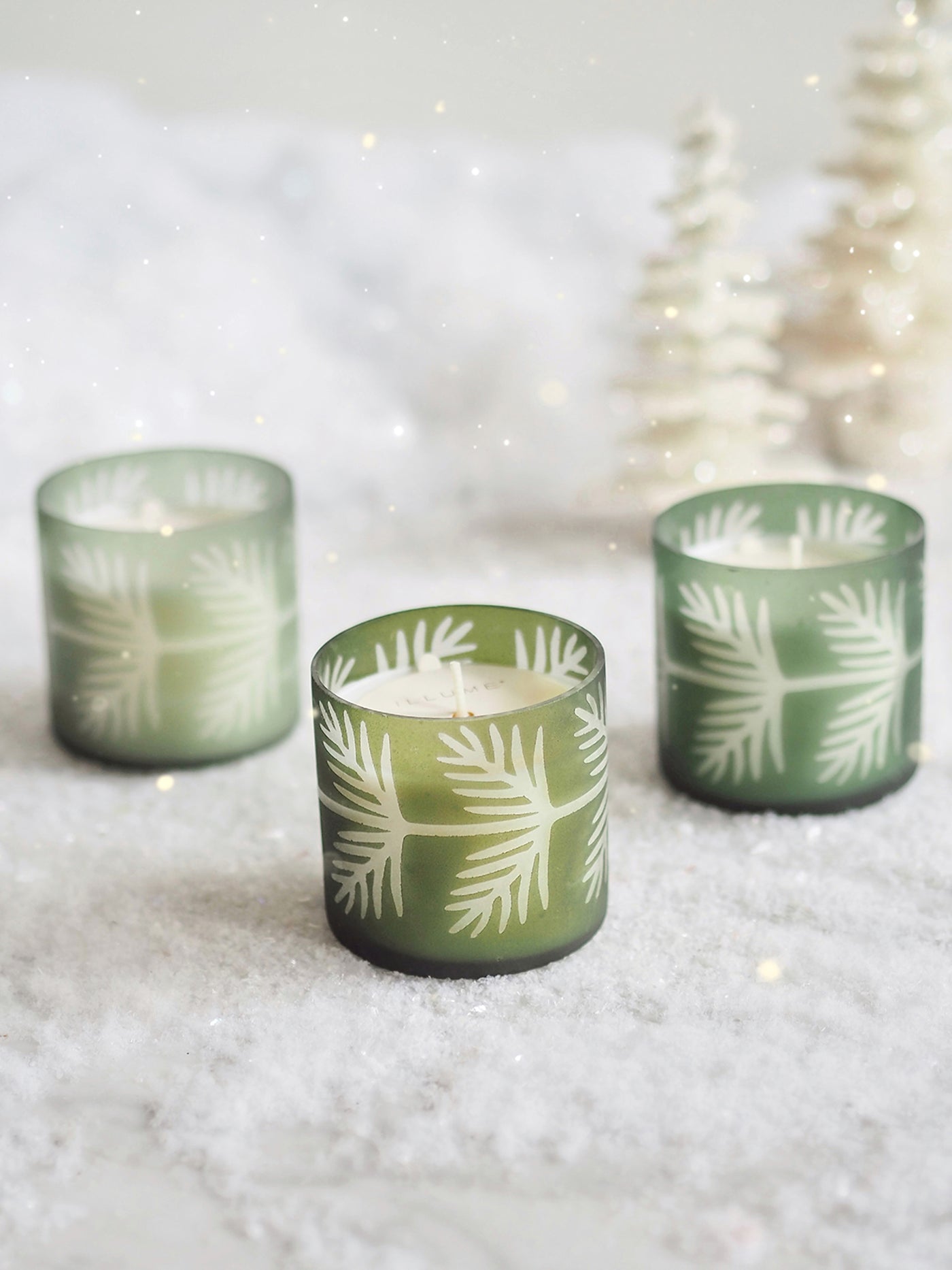 Sequoia Spruce Pine Glass Candle