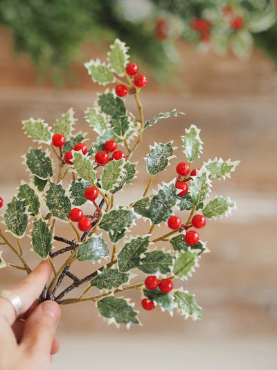 Glittered Variegated Holly Stem