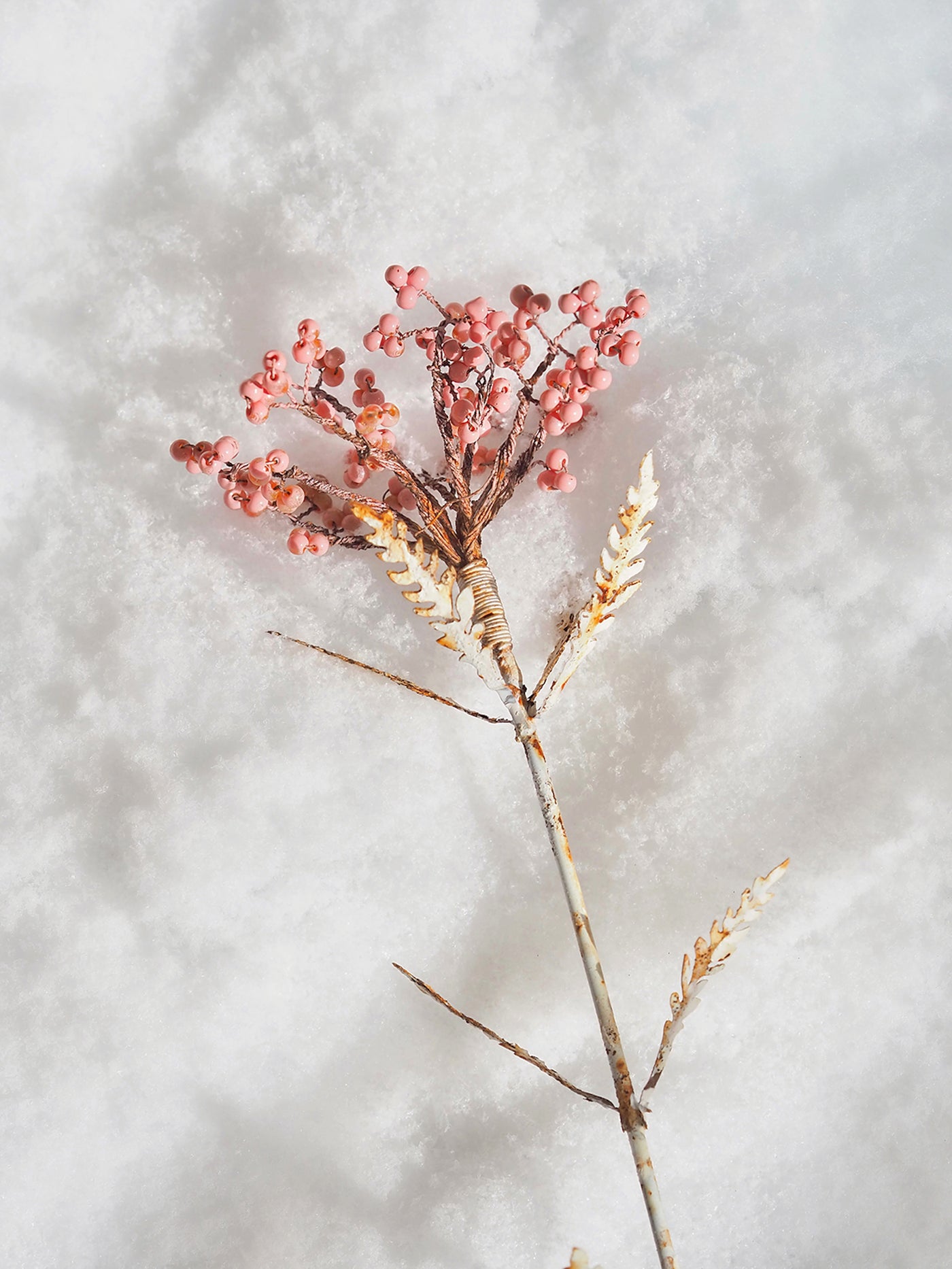 Everlasting Flower Stem