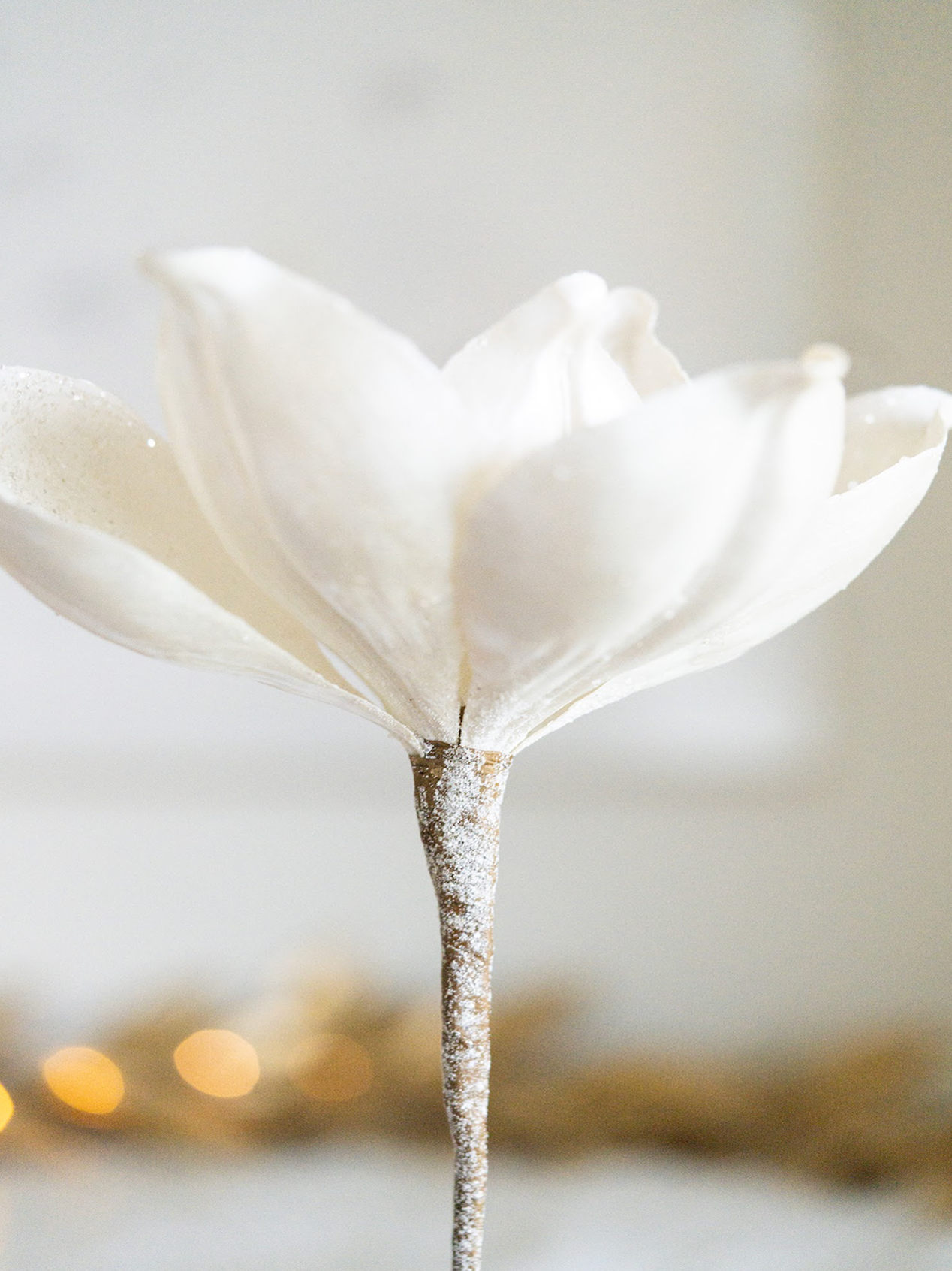 Glittered White Magnolia Stem