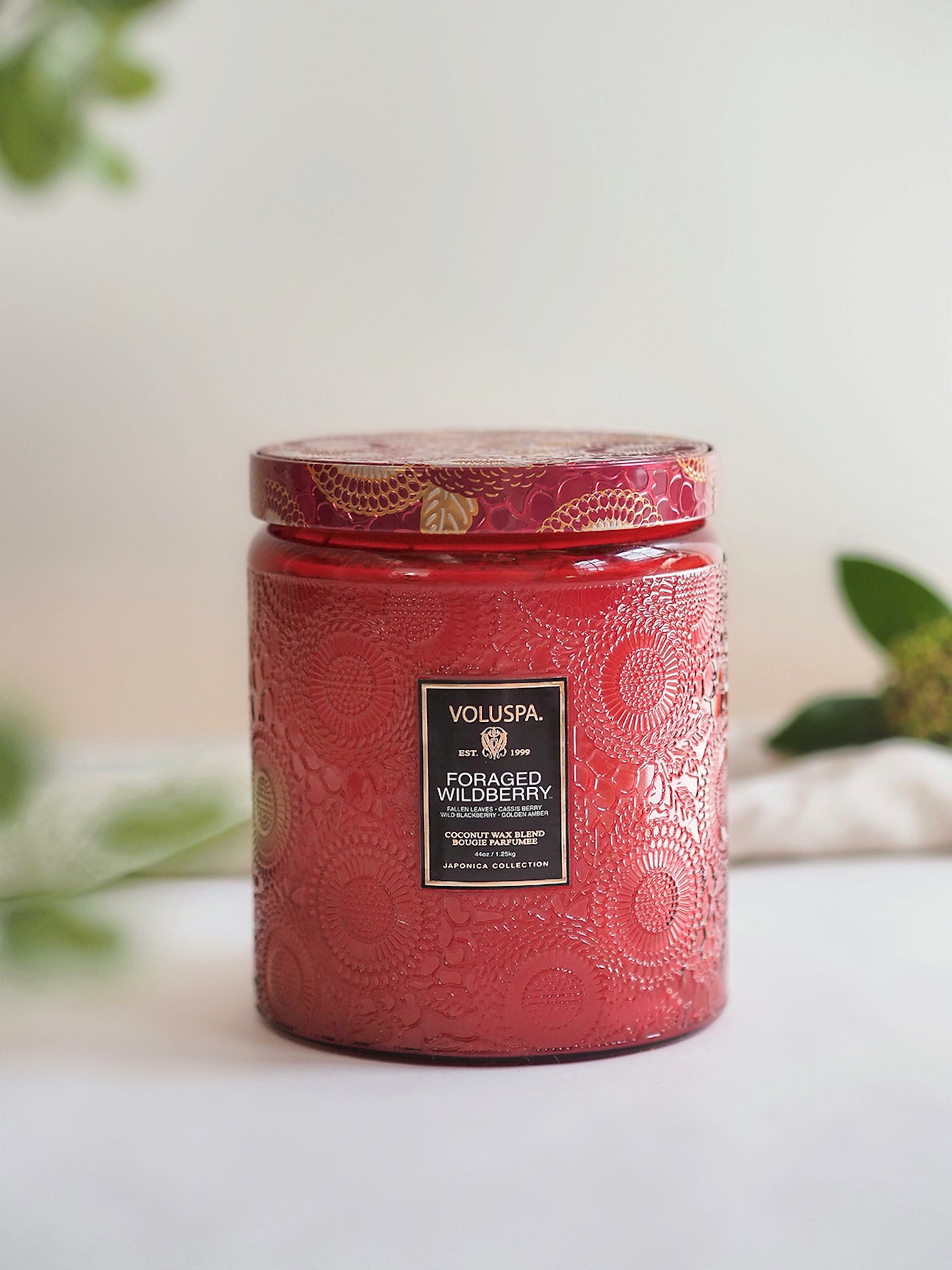 Foraged Wildberry Luxe Jar Candle