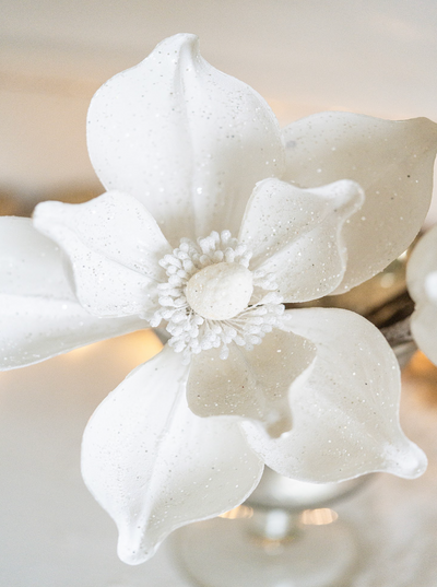 Glittered White Magnolia Stem