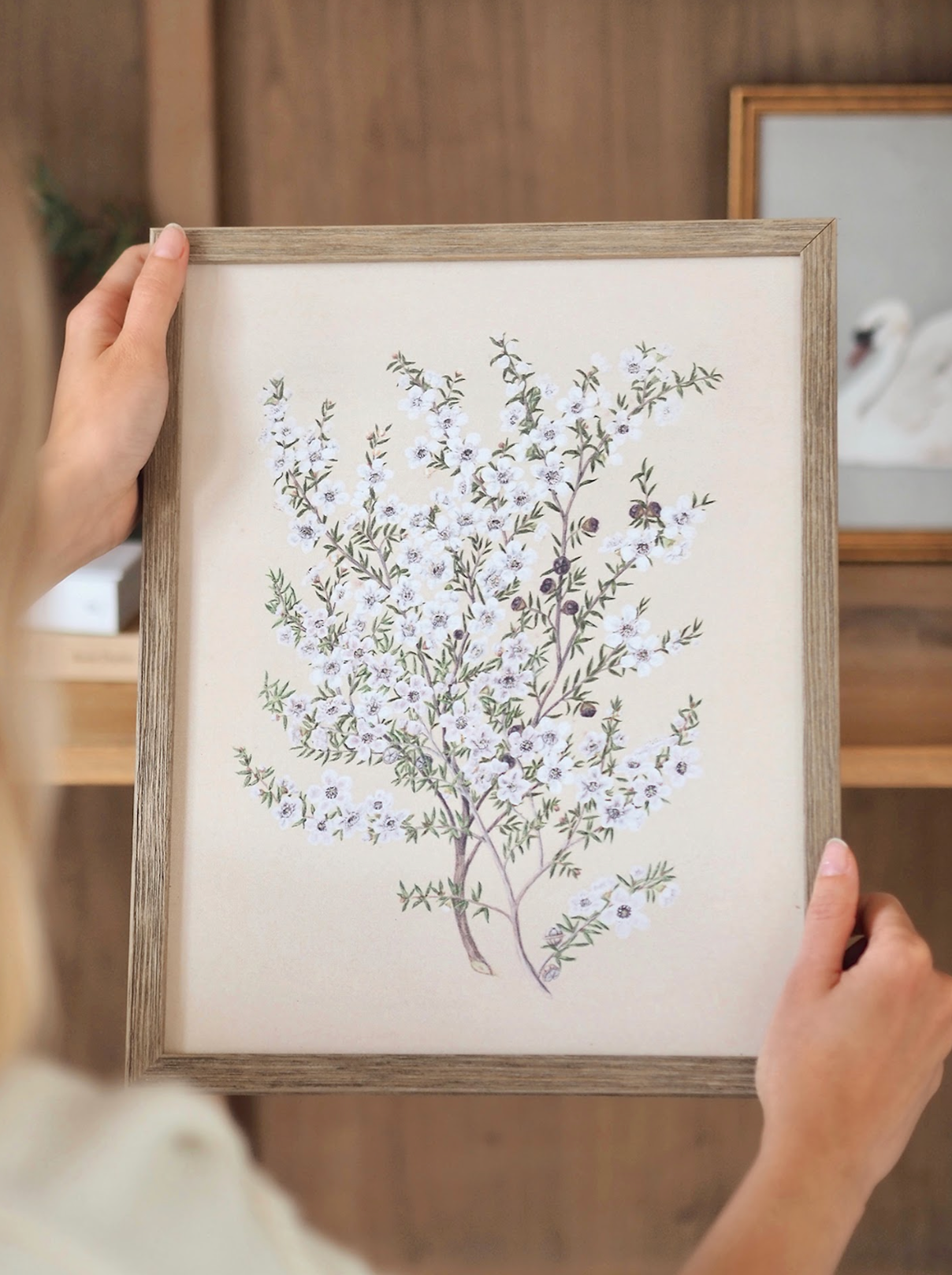 Botanical Manuka Framed Canvas Print | 11x14