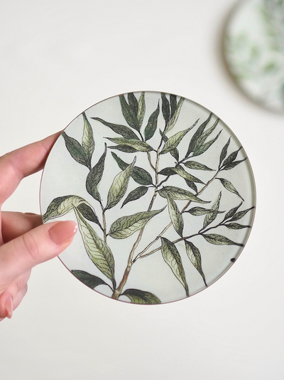 Indigofera Longifolia Plate