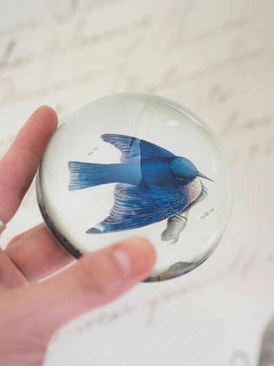 Pudgy (Bluebird) Dome Paperweight