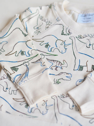 Artsy Dinos Sweatshirt and Jogger Set