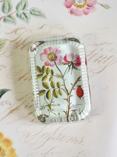 Rosa Canina Dotted Edge Rect. Paperweight