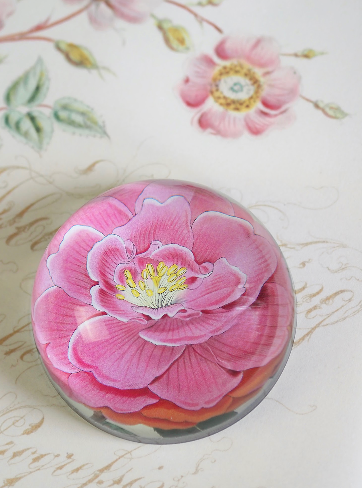 Camellia Dome Paperweight