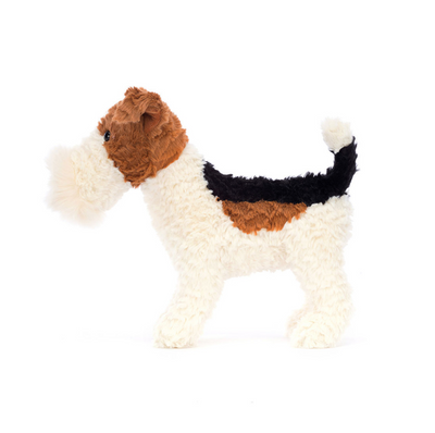 Hector Fox Terrier