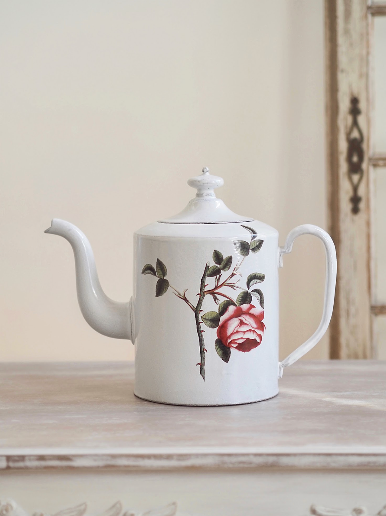 Rosa Centilolia JD Benoit Teapot