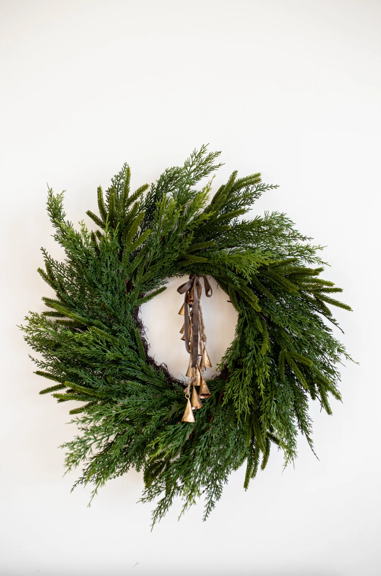 Norfolk Cypress Wreath