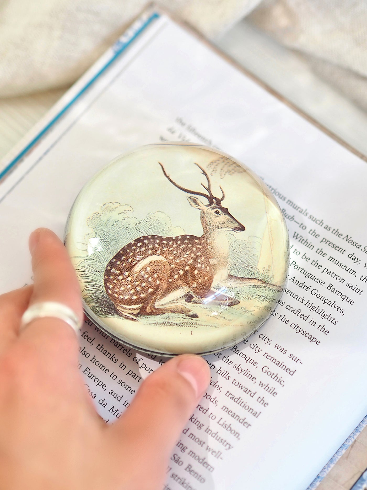 Sitting Deer Paperweight