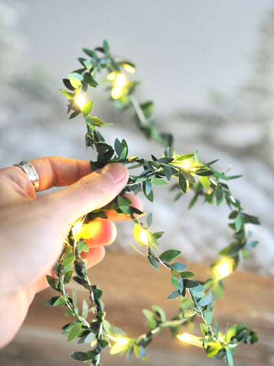 Mistletoe LED Light String