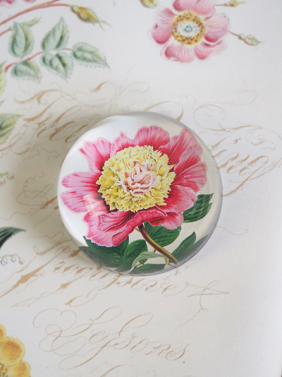 Peony Albifl Dome Paperweight