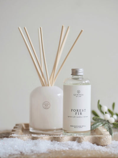 Forest Fir Reed Diffuser Kit