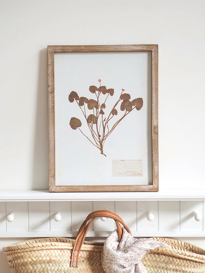 Pressed Foliage Framed Prints | 11.75" x 15.75"