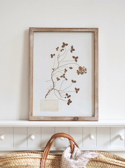 Pressed Foliage Framed Prints | 11.75" x 15.75"