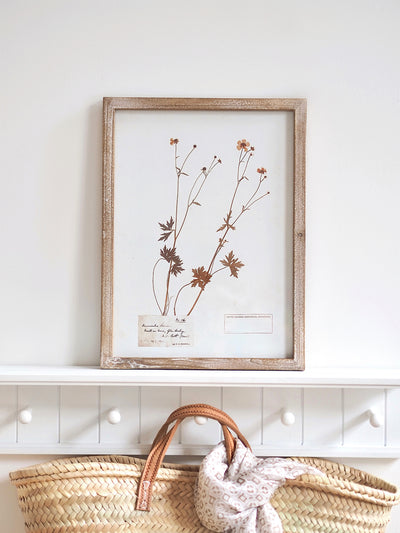 Pressed Foliage Framed Prints | 11.75" x 15.75"