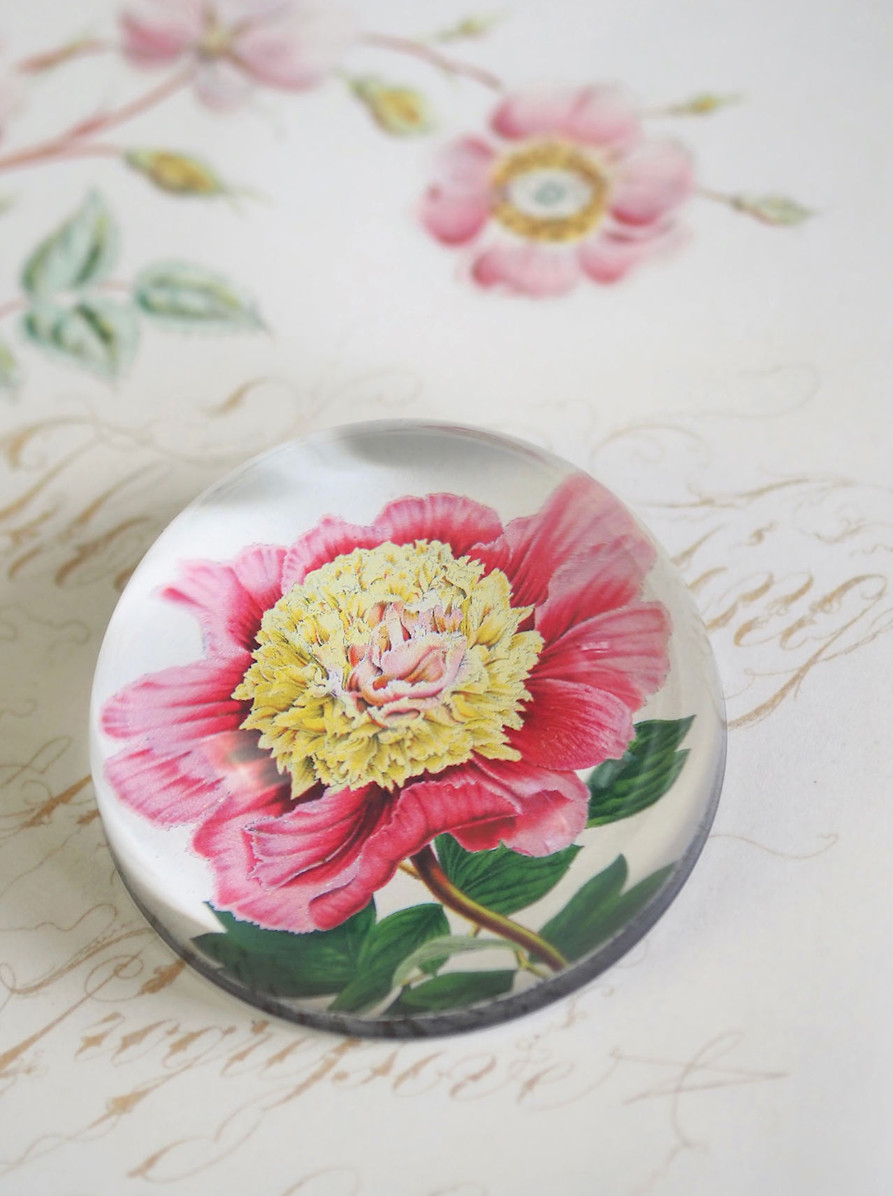 Peony Albifl Dome Paperweight