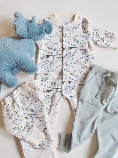 Artsy Dinos Sweatshirt and Jogger Set