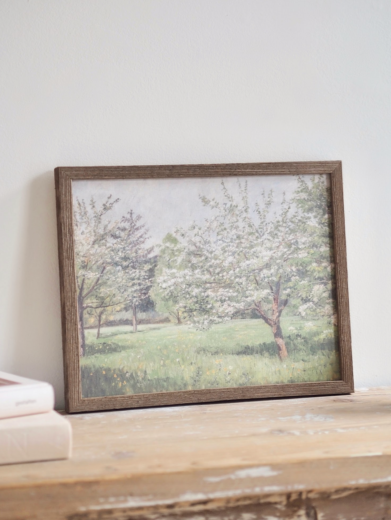 Cherry Blossom Trees Framed Canvas Print