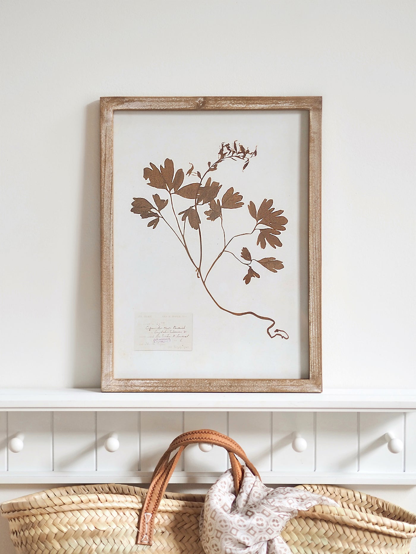 Pressed Foliage Framed Prints | 11.75" x 15.75"