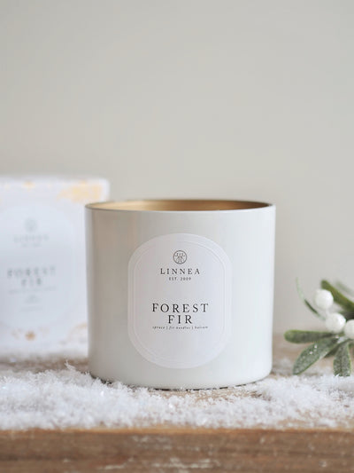 Forest Fir 3 Wick Candle