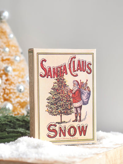 Santa Claus Mica Snow In Box