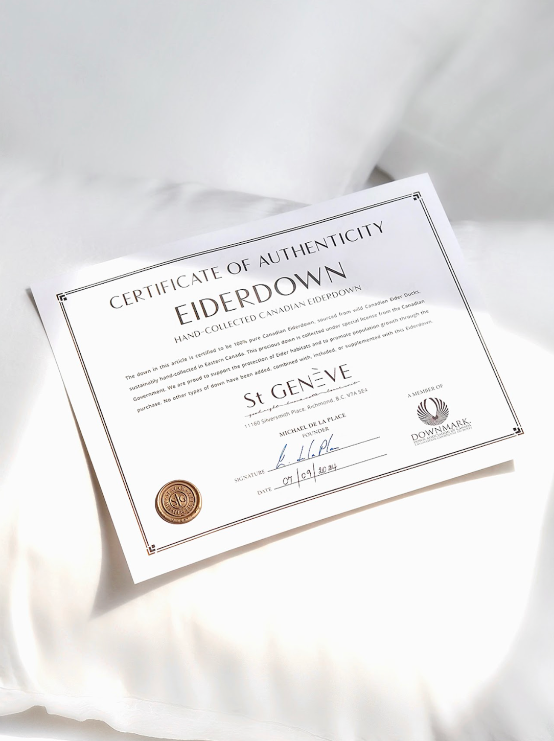 Eiderdown Lyocell/Cotton Duvet