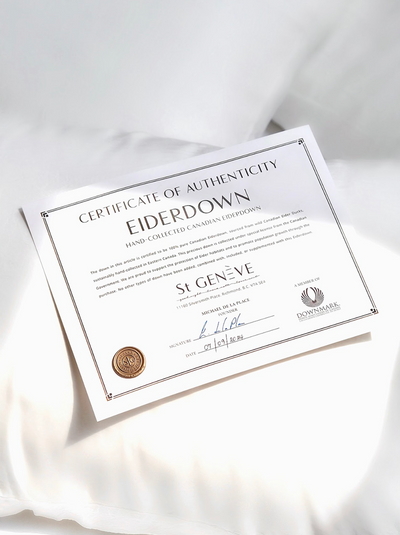 Eiderdown Lyocell/Cotton Duvet