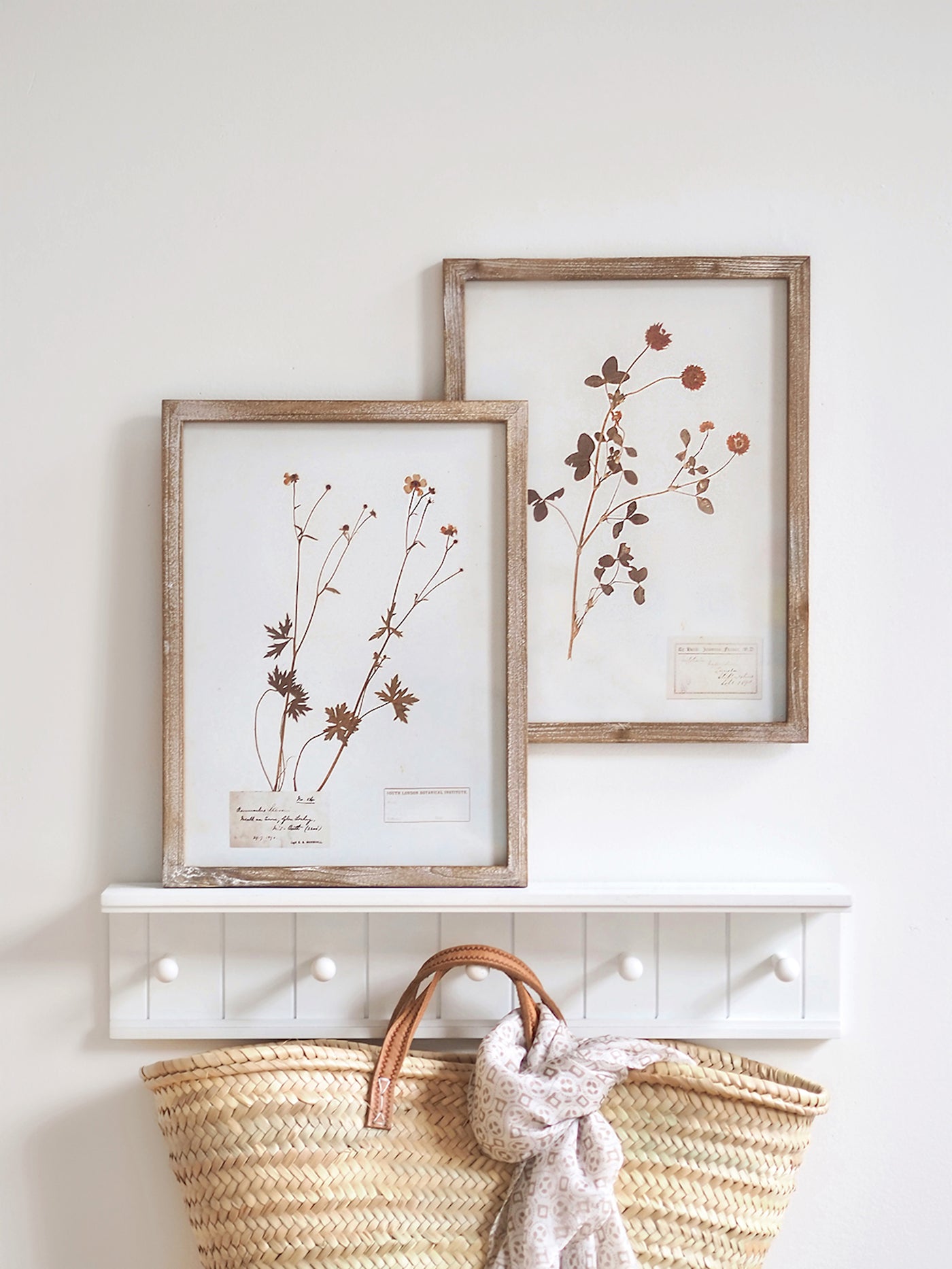 Pressed Foliage Framed Prints | 11.75" x 15.75"