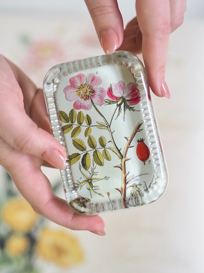 Rosa Canina Dotted Edge Rect. Paperweight