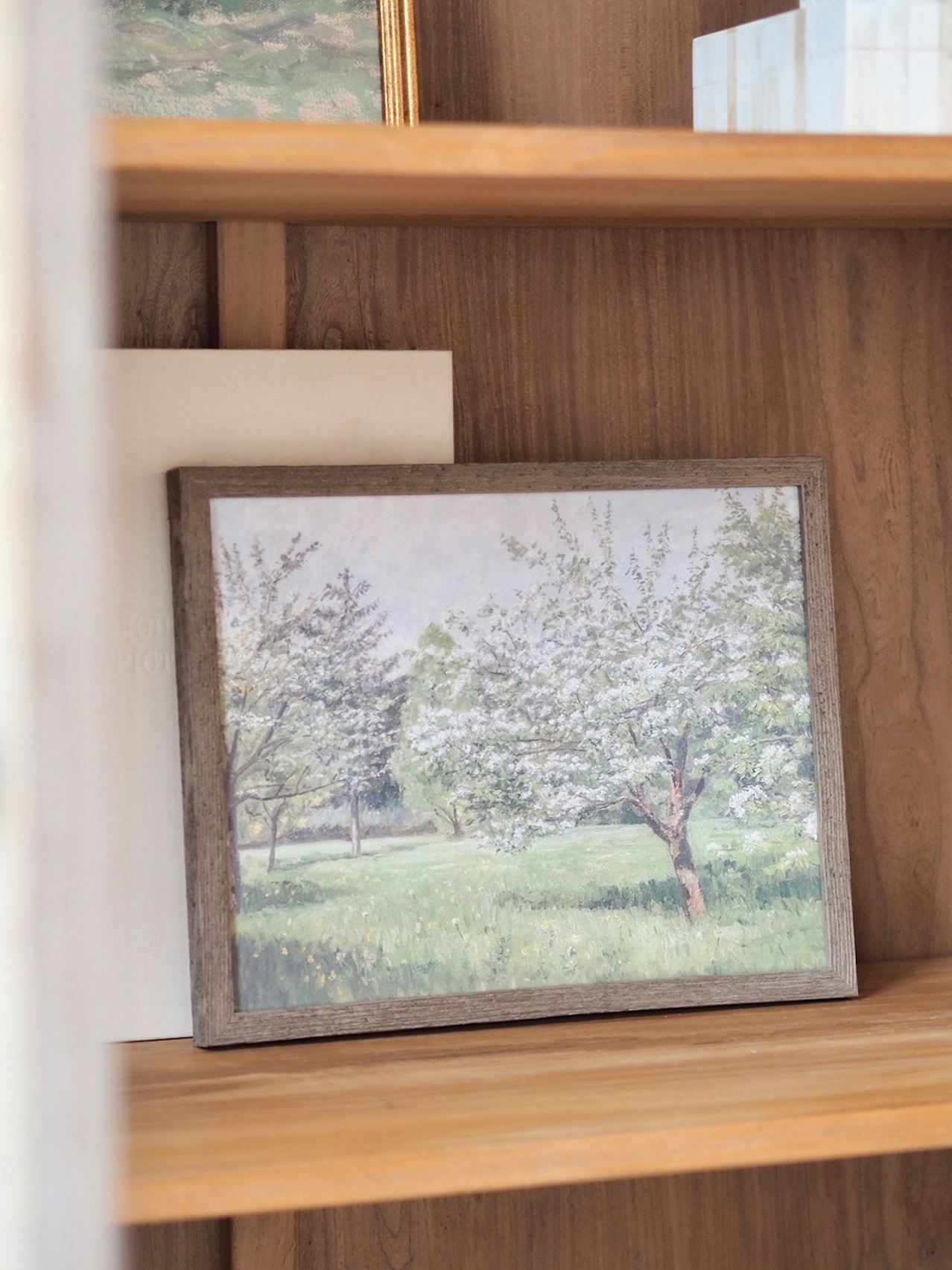 Cherry Blossom Trees Framed Canvas Print