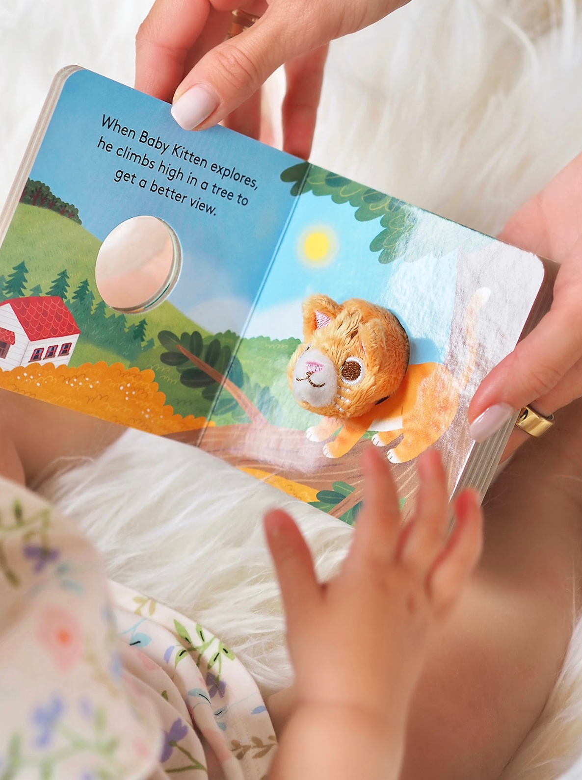 Baby Kitten Finger Puppet Book